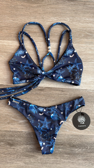Navy blue starfish