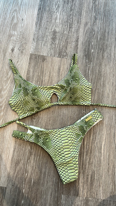 Green snake