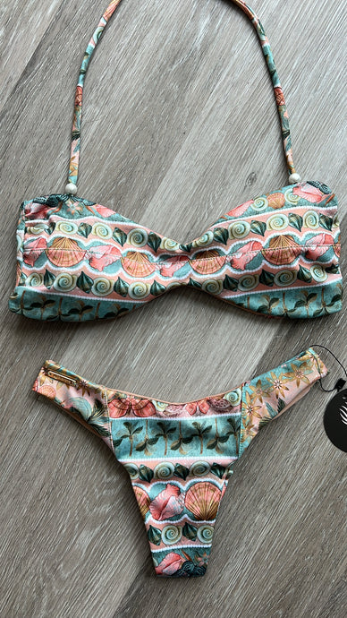 Palm & Shell
