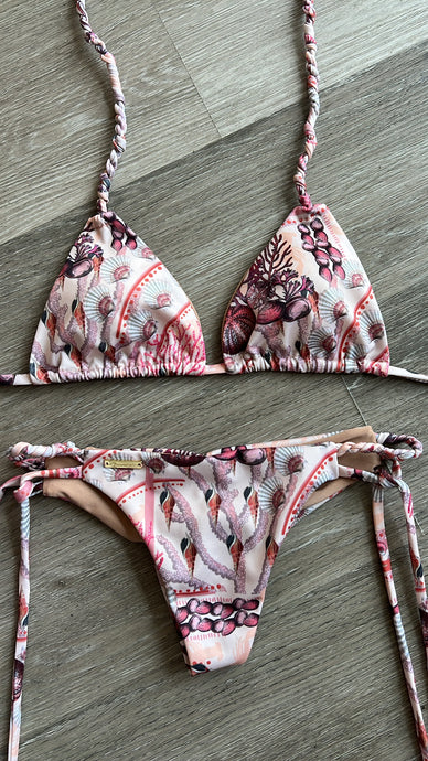 Shell&Coral