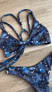 Navy blue starfish